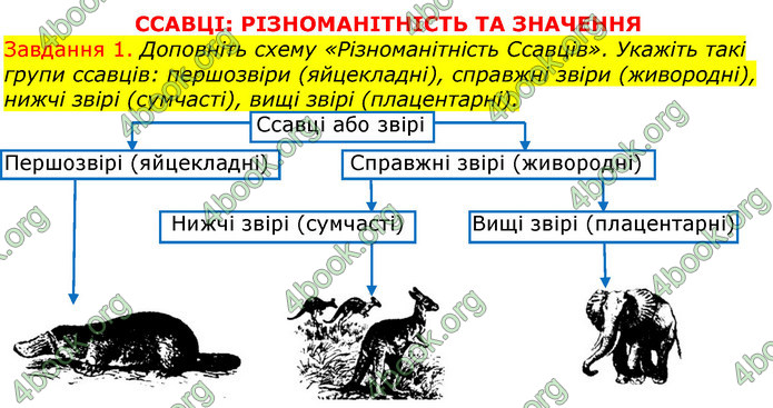 ГДЗ Зошит з Біології 7 клас Яременко