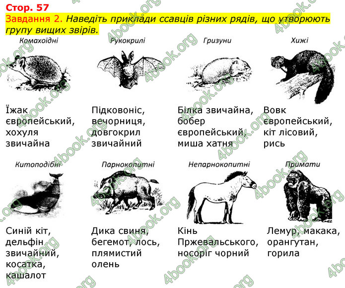 ГДЗ Зошит з Біології 7 клас Яременко