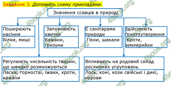 ГДЗ Зошит з Біології 7 клас Яременко