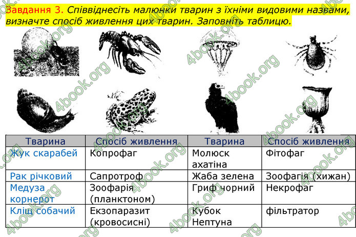 ГДЗ Зошит з Біології 7 клас Яременко