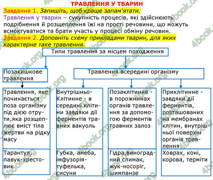 ГДЗ Зошит з Біології 7 клас Яременко