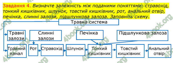 ГДЗ Зошит з Біології 7 клас Яременко