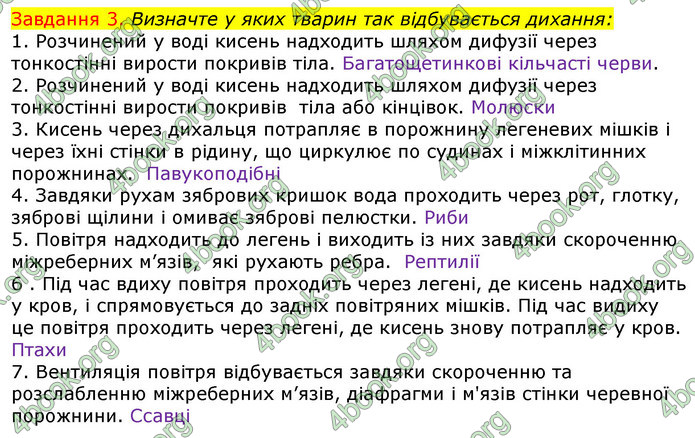 ГДЗ Зошит з Біології 7 клас Яременко