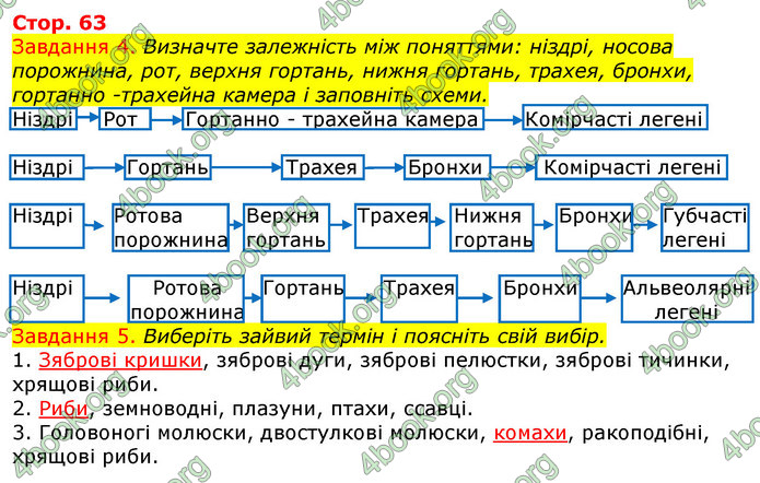 ГДЗ Зошит з Біології 7 клас Яременко