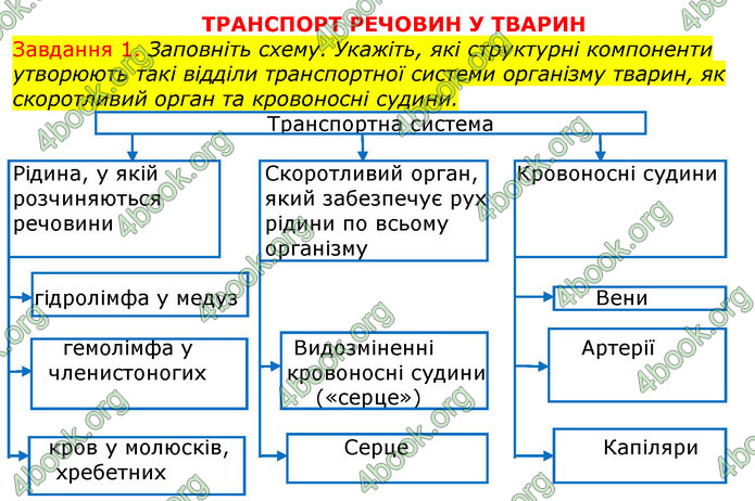 ГДЗ Зошит з Біології 7 клас Яременко