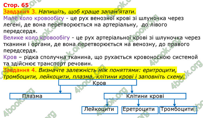 ГДЗ Зошит з Біології 7 клас Яременко