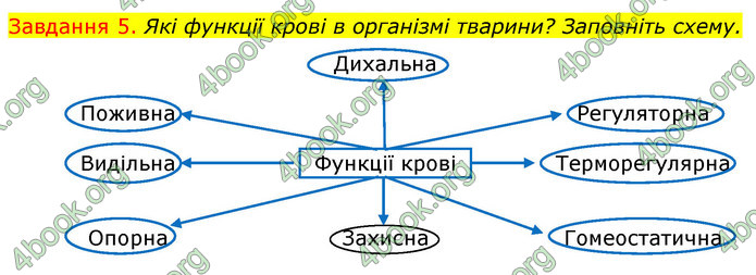 ГДЗ Зошит з Біології 7 клас Яременко