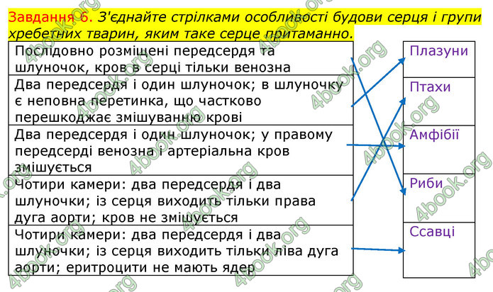 ГДЗ Зошит з Біології 7 клас Яременко