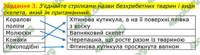 ГДЗ Зошит з Біології 7 клас Яременко