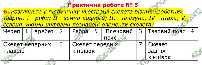 ГДЗ Зошит з Біології 7 клас Яременко