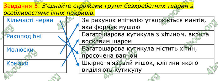 ГДЗ Зошит з Біології 7 клас Яременко