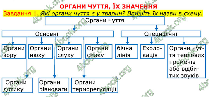 ГДЗ Зошит з Біології 7 клас Яременко