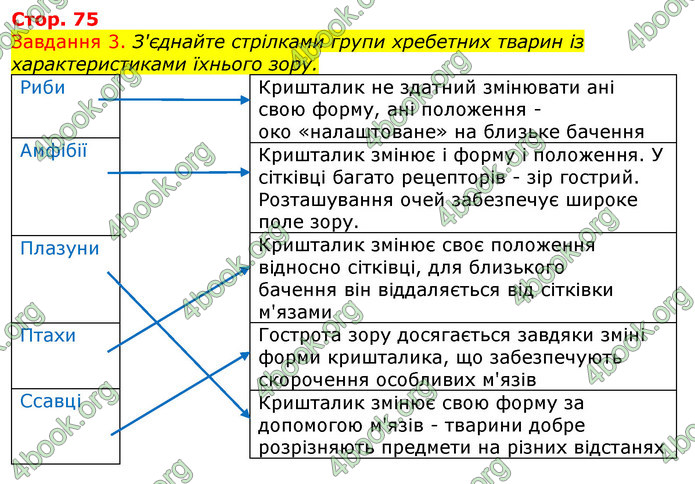 ГДЗ Зошит з Біології 7 клас Яременко