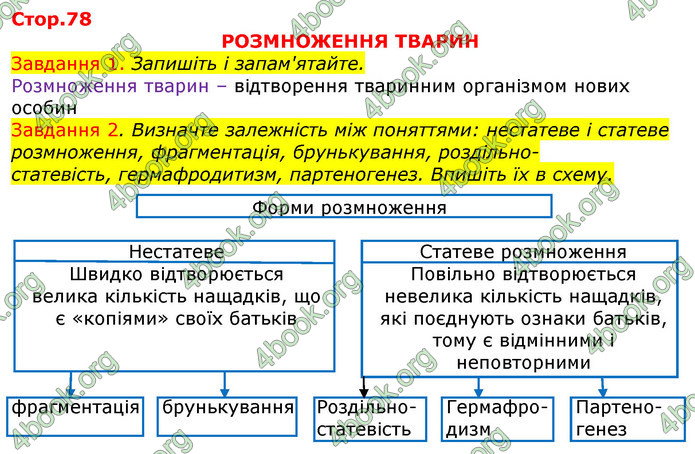 ГДЗ Зошит з Біології 7 клас Яременко