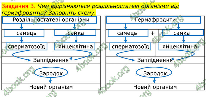 ГДЗ Зошит з Біології 7 клас Яременко