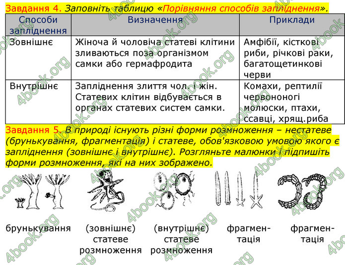 ГДЗ Зошит з Біології 7 клас Яременко