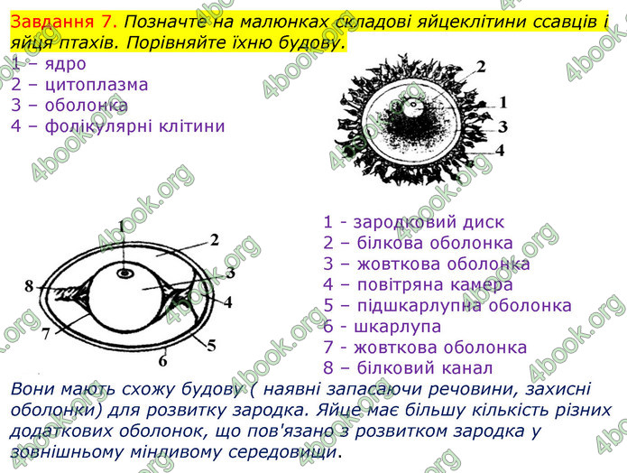ГДЗ Зошит з Біології 7 клас Яременко