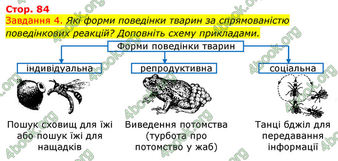 ГДЗ Зошит з Біології 7 клас Яременко