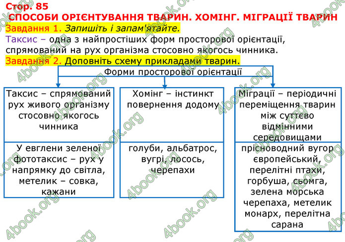 ГДЗ Зошит з Біології 7 клас Яременко