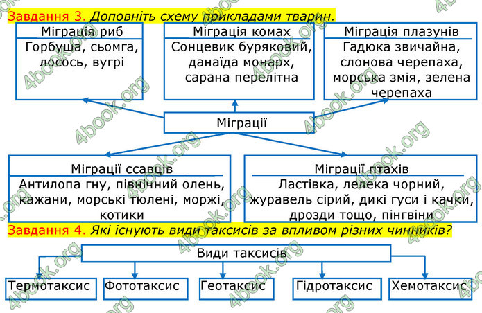 ГДЗ Зошит з Біології 7 клас Яременко