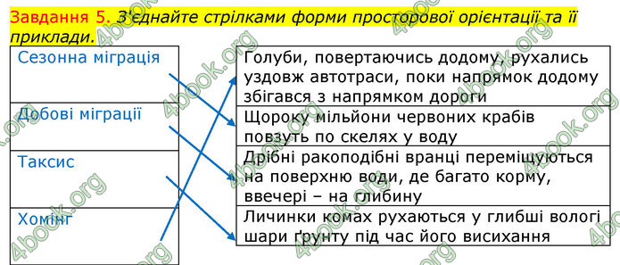 ГДЗ Зошит з Біології 7 клас Яременко