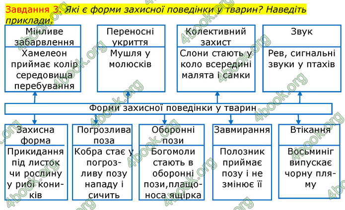 ГДЗ Зошит з Біології 7 клас Яременко