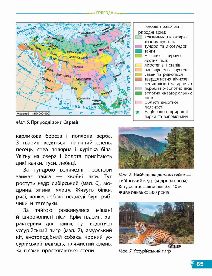 Я досліджую світ 4 клас Бібік (1 часть)