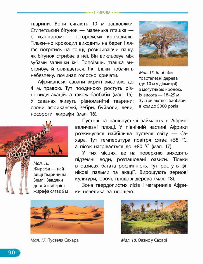 Я досліджую світ 4 клас Бібік (1 часть)