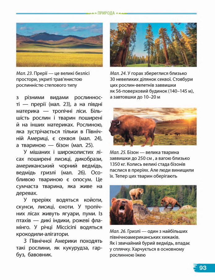 Я досліджую світ 4 клас Бібік (1 часть)