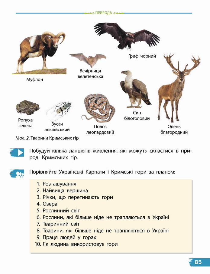 Я досліджую світ 4 клас Бібік (2 часть)