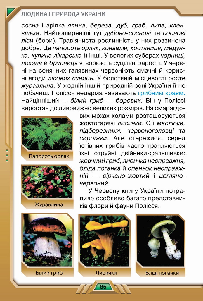 Я досліджую світ 4 клас Грущинська (2 часть)