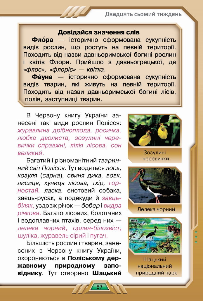 Я досліджую світ 4 клас Грущинська (2 часть)
