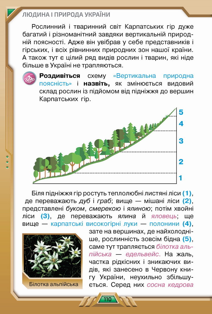 Я досліджую світ 4 клас Грущинська (2 часть)