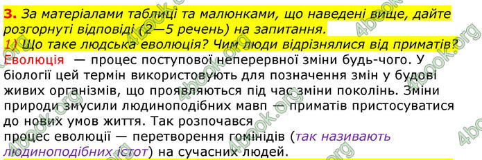 ГДЗ Всесвітня історія 6 клас Гісем 2019