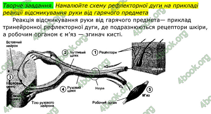 Відповіді Біологія 8 клас Матяш 2016. ГДЗ