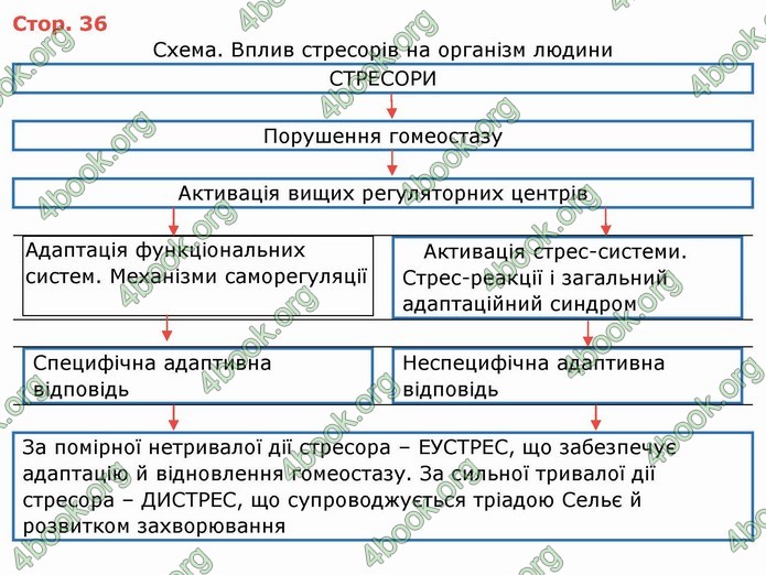 ГДЗ Зошит Біологія 11 клас Соболь