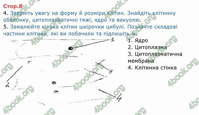 ГДЗ Зошит Біологія 6 клас Мечник