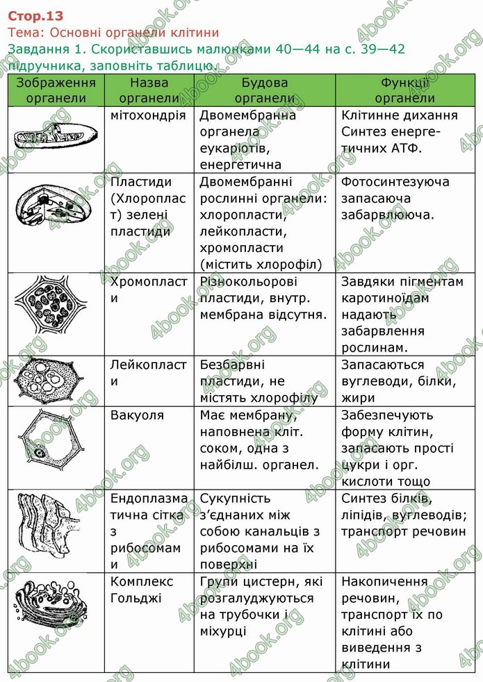 ГДЗ Зошит Біологія 6 клас Мечник