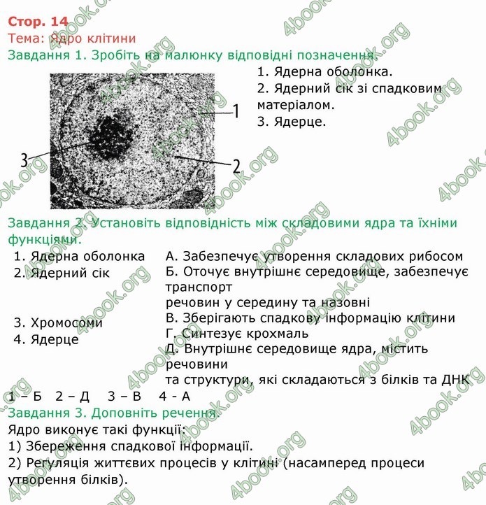 ГДЗ Зошит Біологія 6 клас Мечник