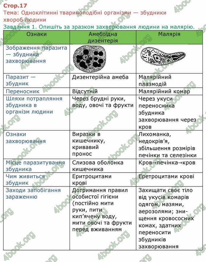 ГДЗ Зошит Біологія 6 клас Мечник