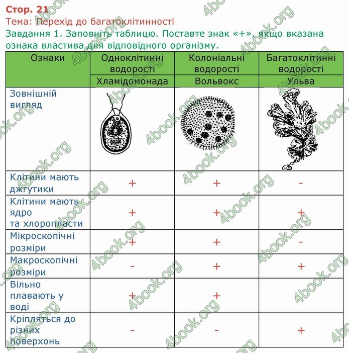 ГДЗ Зошит Біологія 6 клас Мечник