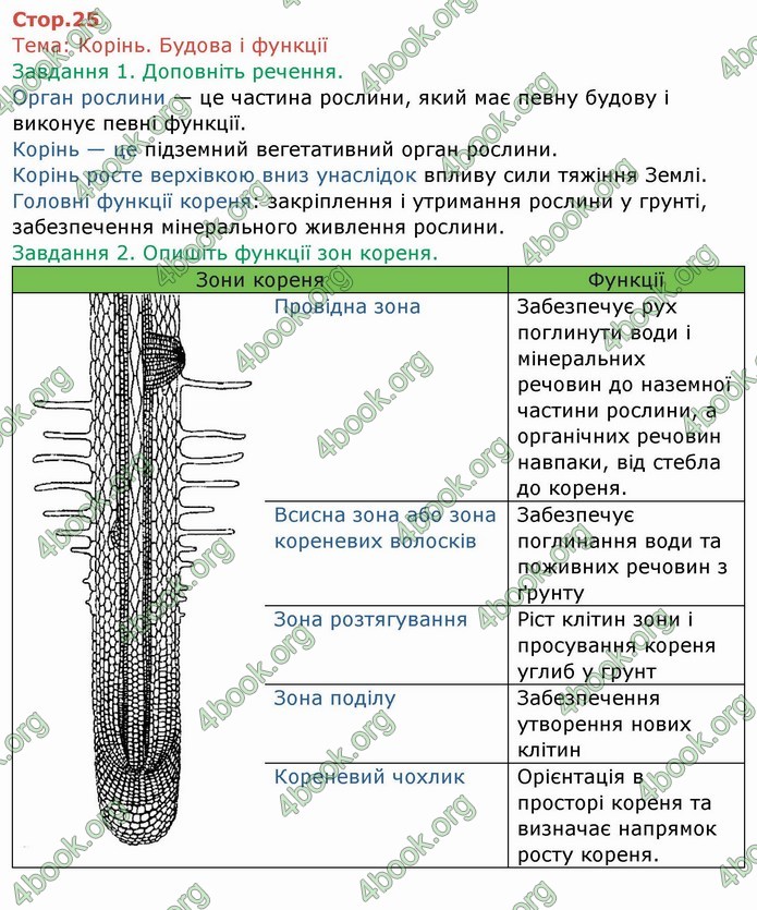 ГДЗ Зошит Біологія 6 клас Мечник