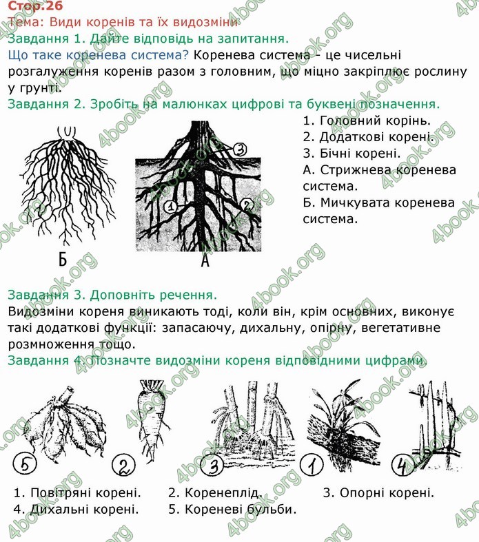 ГДЗ Зошит Біологія 6 клас Мечник