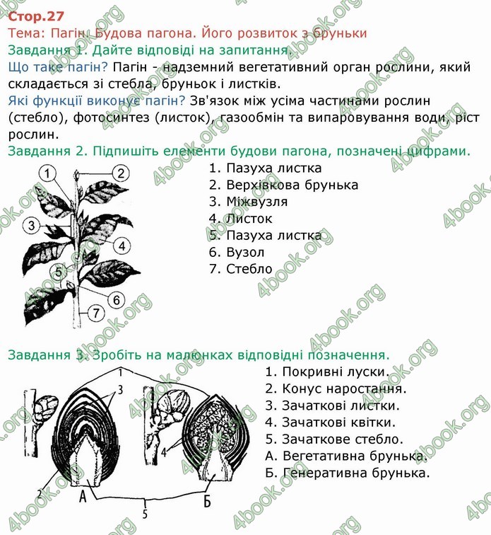ГДЗ Зошит Біологія 6 клас Мечник