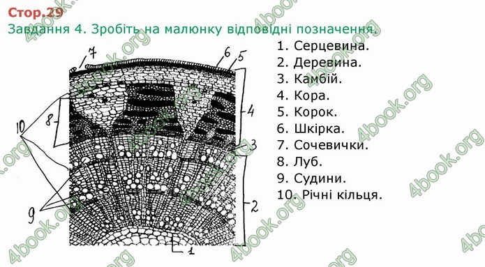 ГДЗ Зошит Біологія 6 клас Мечник