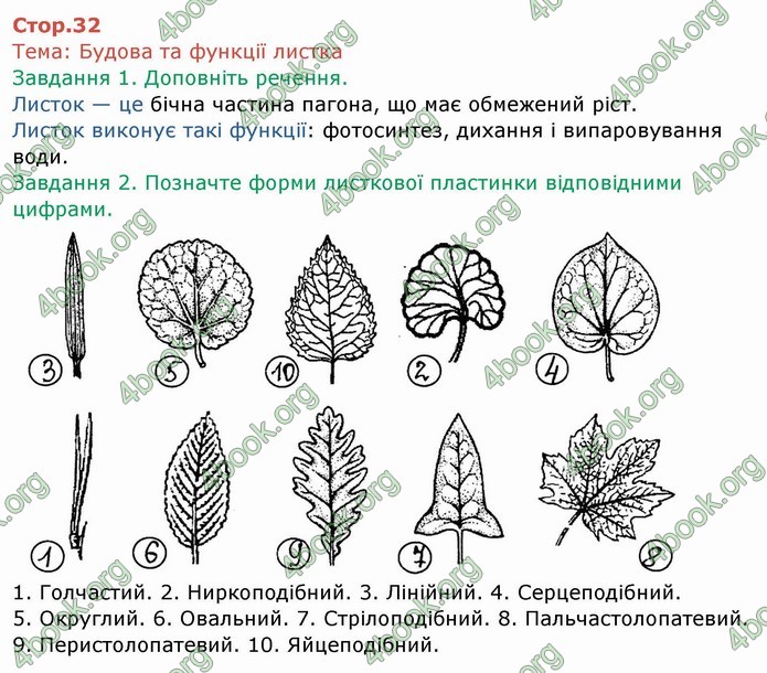 ГДЗ Зошит Біологія 6 клас Мечник
