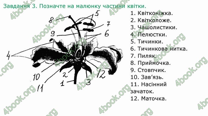 ГДЗ Зошит Біологія 6 клас Мечник