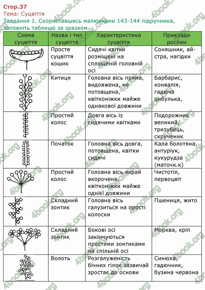 ГДЗ Зошит Біологія 6 клас Мечник