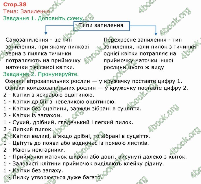 ГДЗ Зошит Біологія 6 клас Мечник