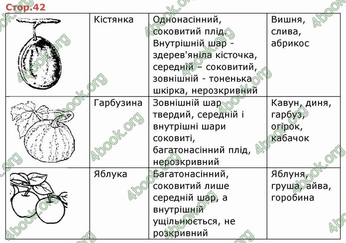 ГДЗ Зошит Біологія 6 клас Мечник